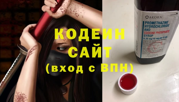 прущие грибы Алзамай