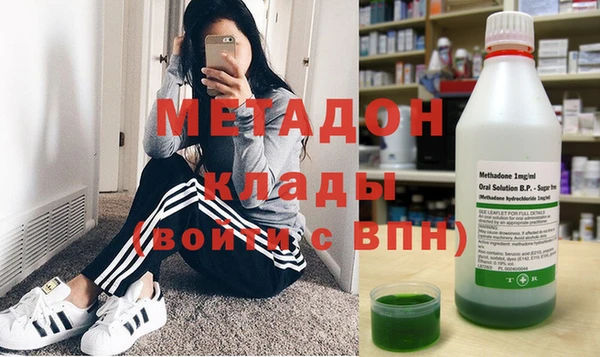 прущие грибы Алзамай