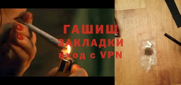 прущие грибы Алзамай