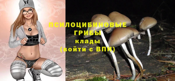 марки nbome Алексеевка