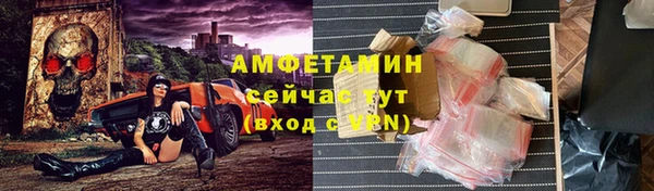 прущие грибы Алзамай