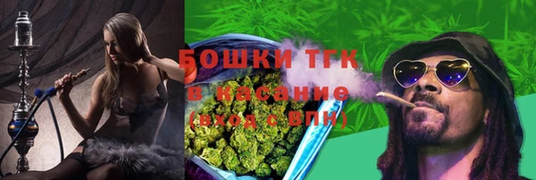 прущие грибы Алзамай