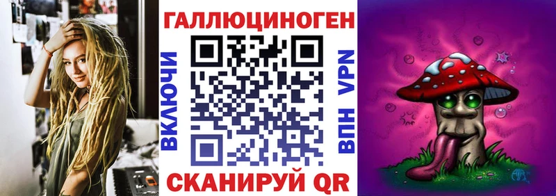 KRAKEN как войти  Кемерово  Псилоцибиновые грибы Psilocybe 
