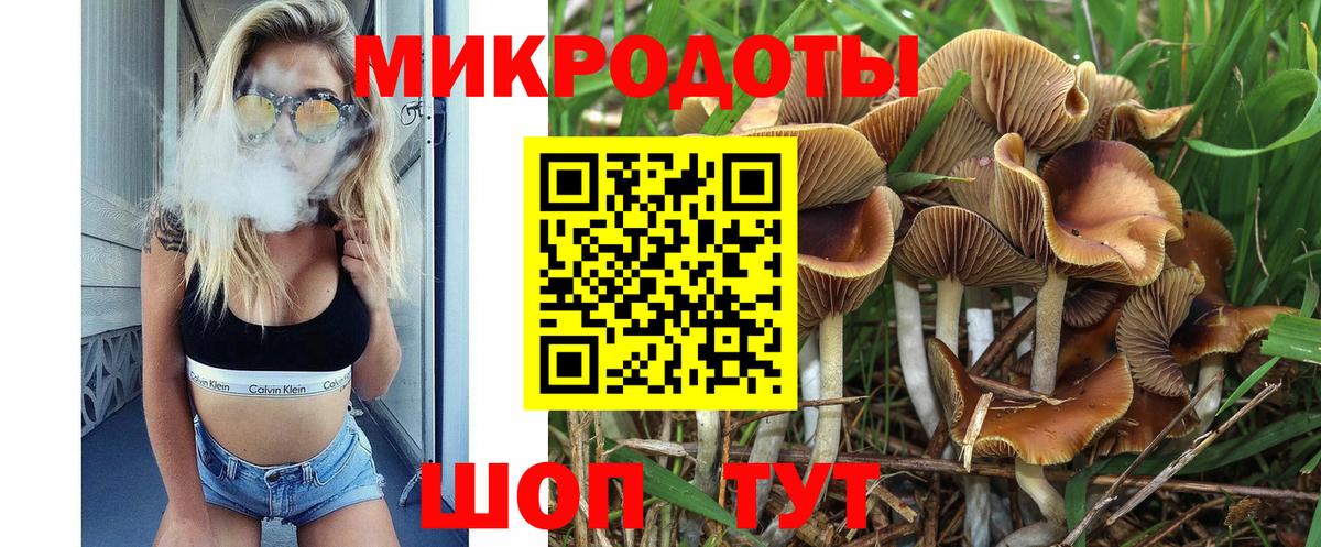 Кемерово  Галлюциногенные грибы мухоморы  Вход с VPN 