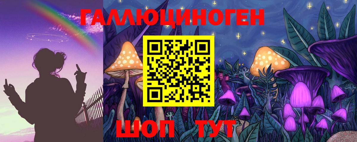 Галлюциногенные грибы Psilocybe Кемерово